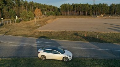 Photo of Tesla resumes tree cutting in Germany for new European factory