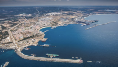 Photo of Autoeuropa terá nova rota de importação com origem na Argentina e destino no Porto de Sines