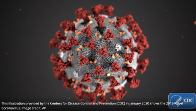 Photo of How Coronavirus is affecting the automotive industry on the global stage